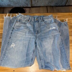 American Eagle Outfitters Light Blue Distressed Cropped Jeans